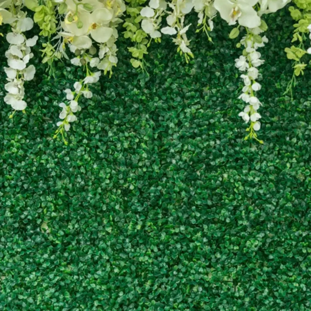 Greenery Galore